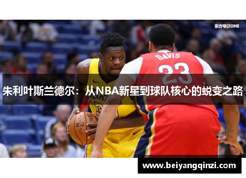 朱利叶斯兰德尔：从NBA新星到球队核心的蜕变之路