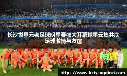 3377体育官网入口